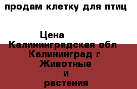 продам клетку для птиц › Цена ­ 500 - Калининградская обл., Калининград г. Животные и растения » Аксесcуары и товары для животных   